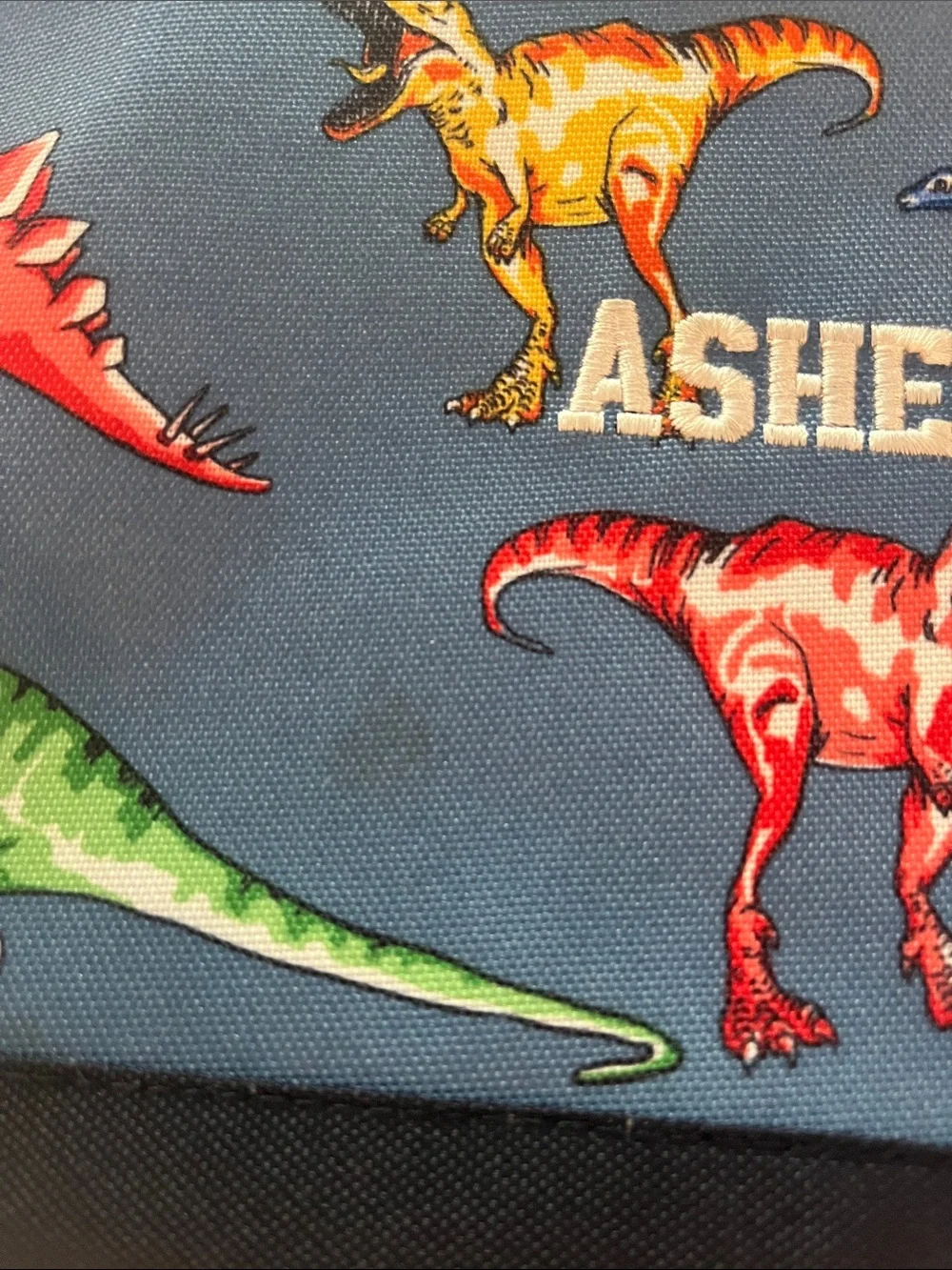 Pottery Barn Kids Dinosaur Lunchbox and Bentgo Dinosaur Lunchbox